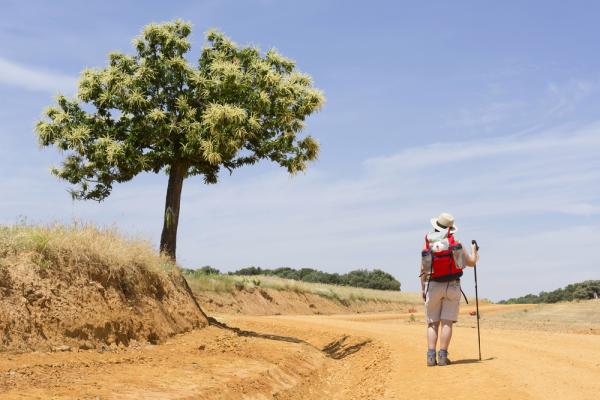 Cammino di Santiago: quali calze utilizzare per cammini lunghi?